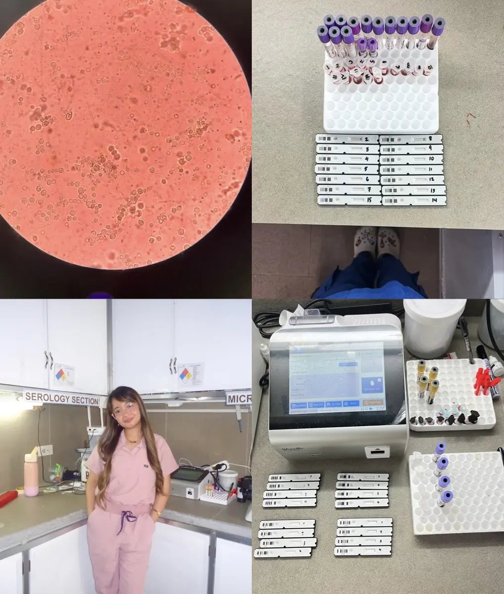 A collage from Angelica’s laboratory experience